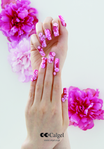 2011.01 nail 035.jpg