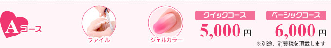 Aコース:クイックコース 5,000円/ベーシックコース 6,000円/ファイル+ジェルカラー